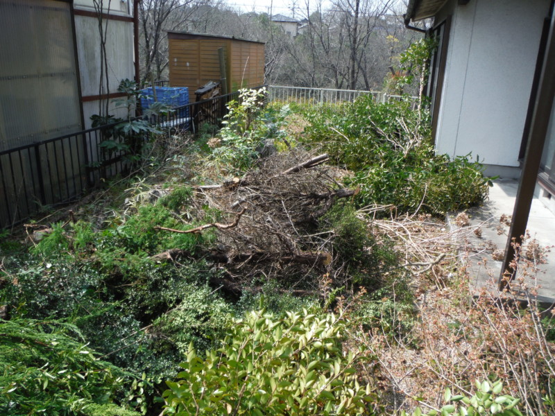 岐阜県可児市の庭木の伐採工事|きれいなお庭にもどす