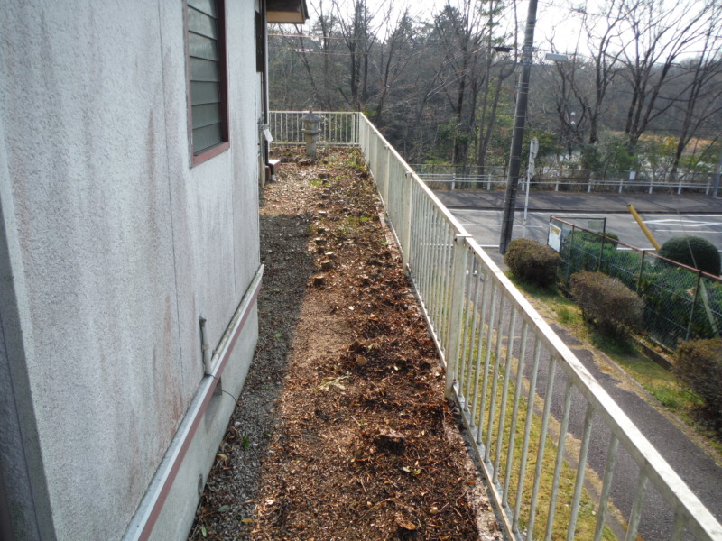 岐阜県可児市の庭木の伐採工事|きれいなお庭にもどす