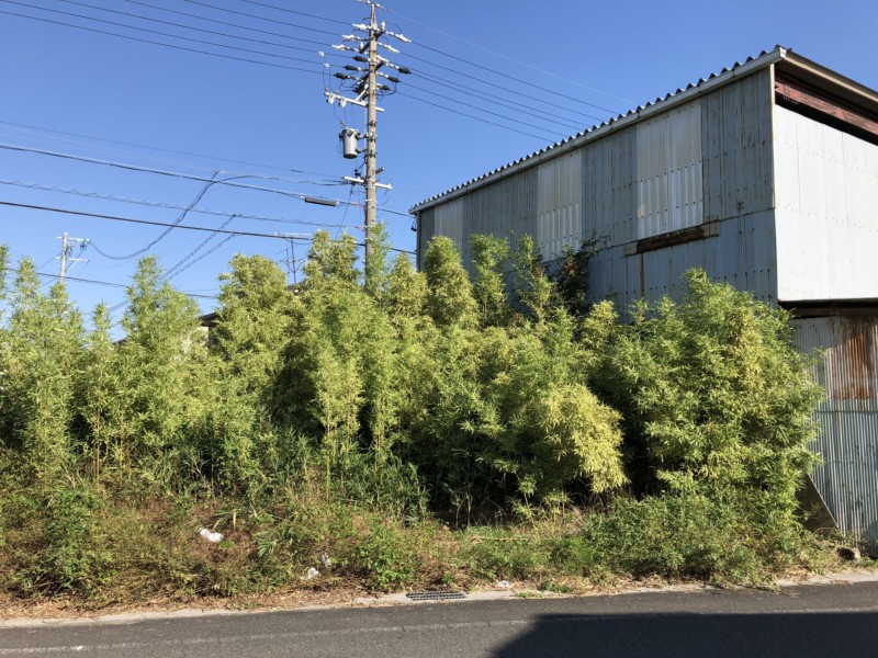 名古屋市守山区の竹林・庭木の伐採工事