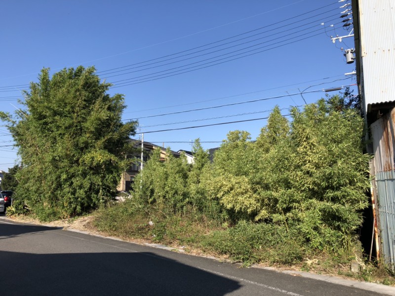 名古屋市守山区の竹林・庭木の伐採工事