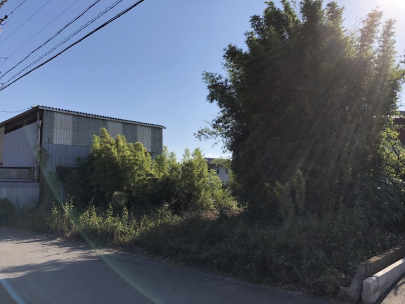 名古屋市守山区の竹林・庭木の伐採工事