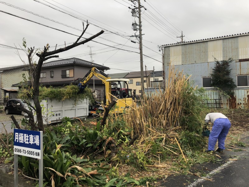 名古屋市守山区の竹林・庭木の伐採工事